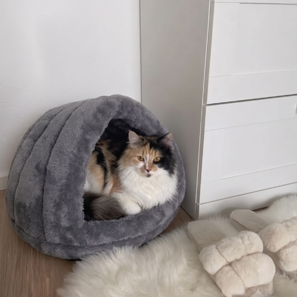 Glückskatze liegt in einem grauen Plüsch-Kuppelbett in einer gemütlichen Ecke